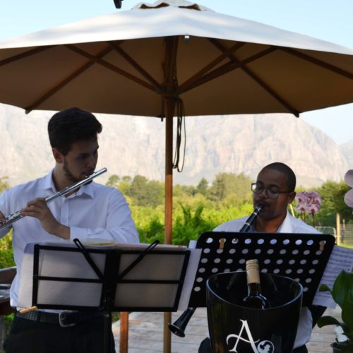 Alluvia, venue in Stellenbosch — photo 3
