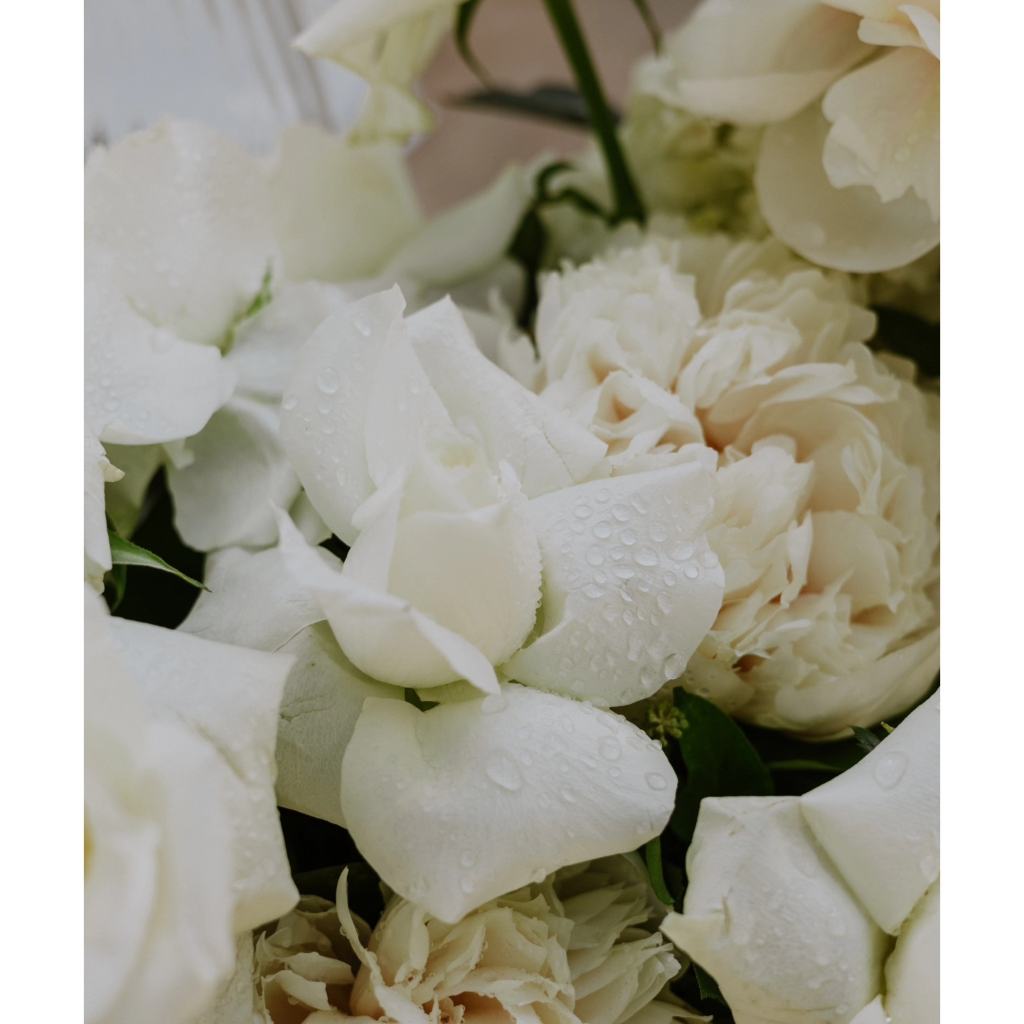 AMP Photography, photography & videography in Western Cape — photo 3