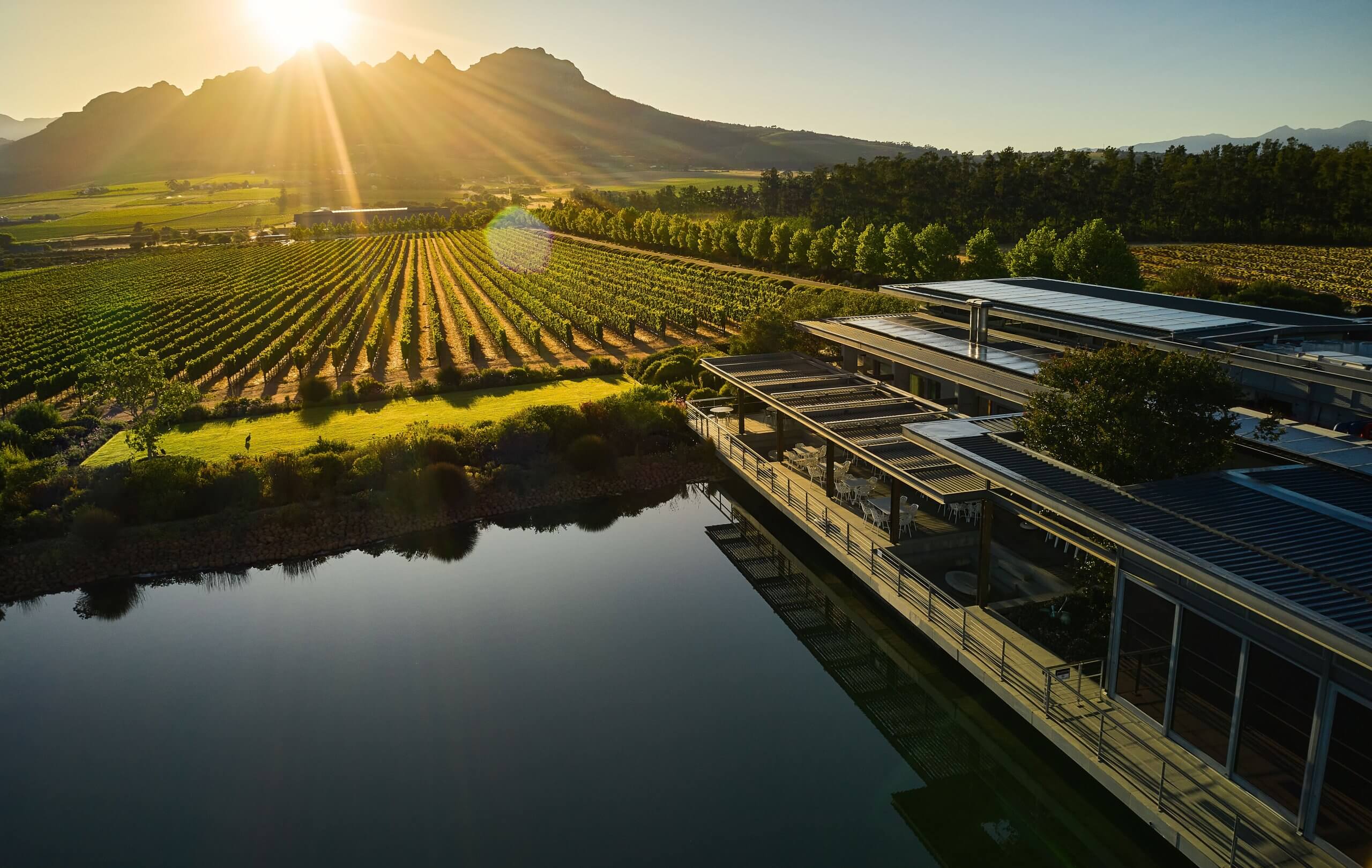 Cavalli Estate, venue in Stellenbosch — photo 2