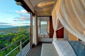 Grootbos Private Nature Reserve, venue in Overberg Coast — photo 3