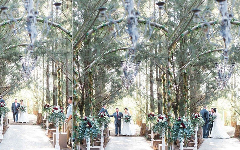 Laurent Wedding Venue, venue in Somerset West — photo 3