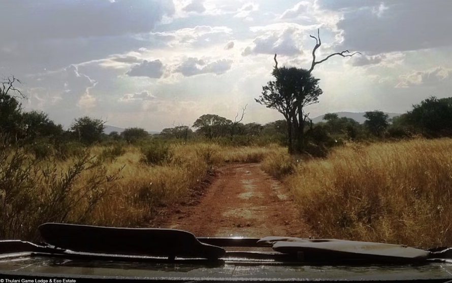 Thulani Game Lodge, venue in Vaalwater — photo 2