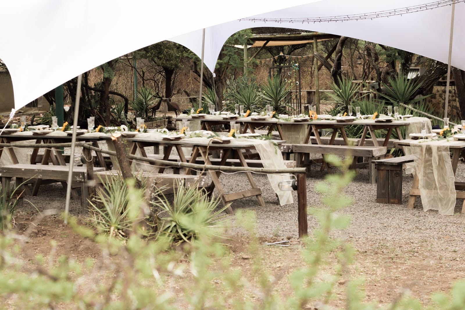 Vachellia Karroo Venue, venue in Roodeplaat, Pretoria — photo 3